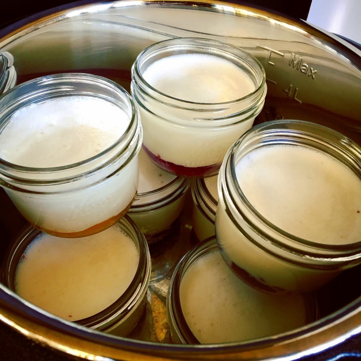 How to make Non-dairy Yogurt (with fruit on the bottom) in the Instant Pot. How to make Non-dairy Yogurt (with fruit on the bottom) in the Instant Pot.