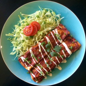 Family Friendly Vegan Enchiladas