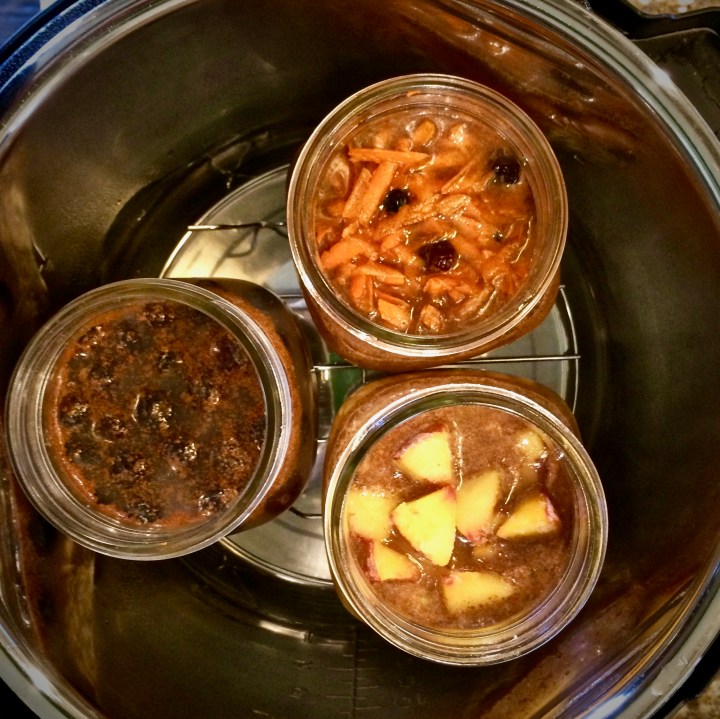 HOW TO: PERFECT STEAMED OATMEAL- cooked right in the jar, In the INSTANT POT