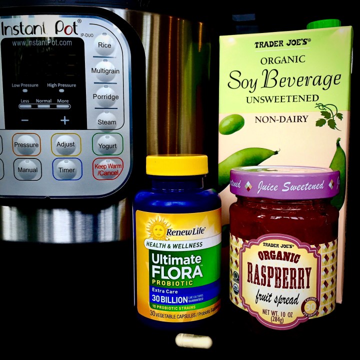 Only 3 ingredients needed to make Non-dairy Yogurt with fruit on the bottom.