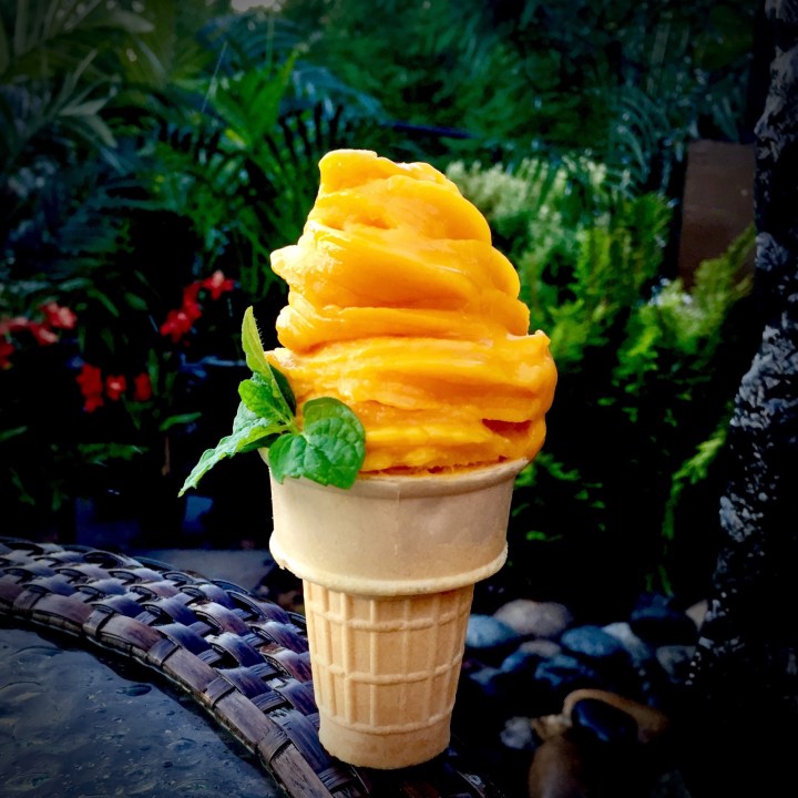 One Ingredient MANGO SORBET (Soft Serve)