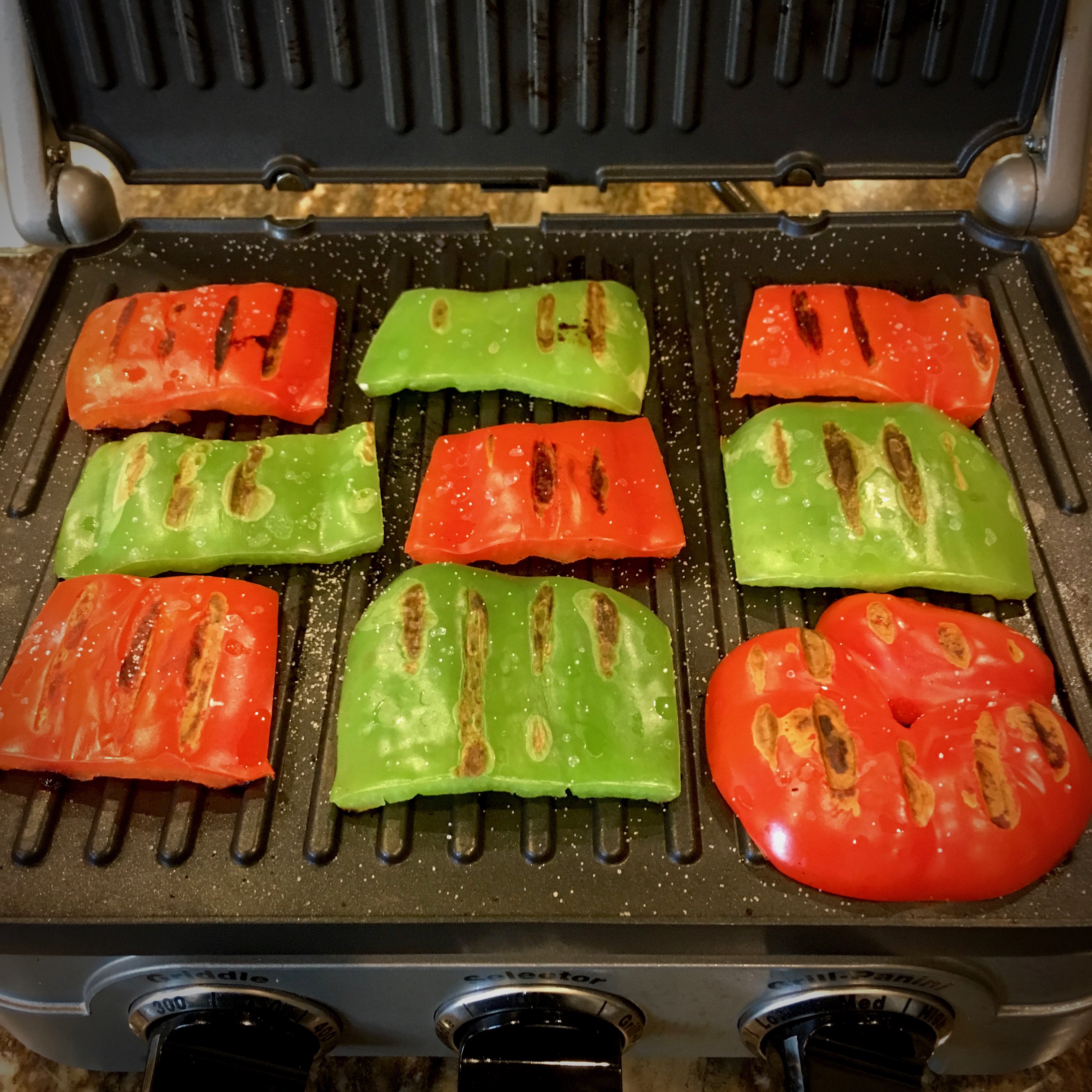 Grill Vegetables in your PANINI MAKER!