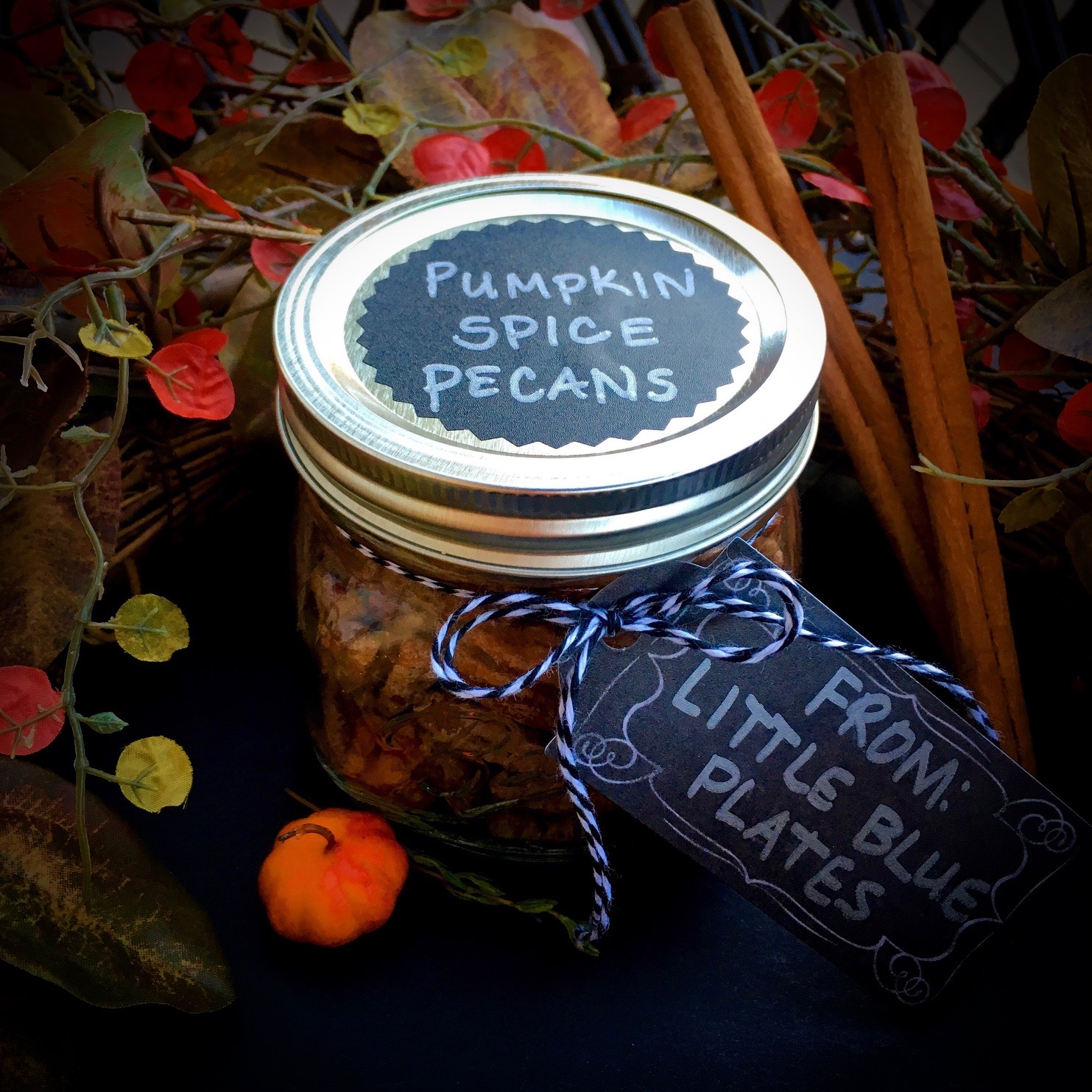 Pumpkin Spice Pecans! Perfect for Fall gift giving.