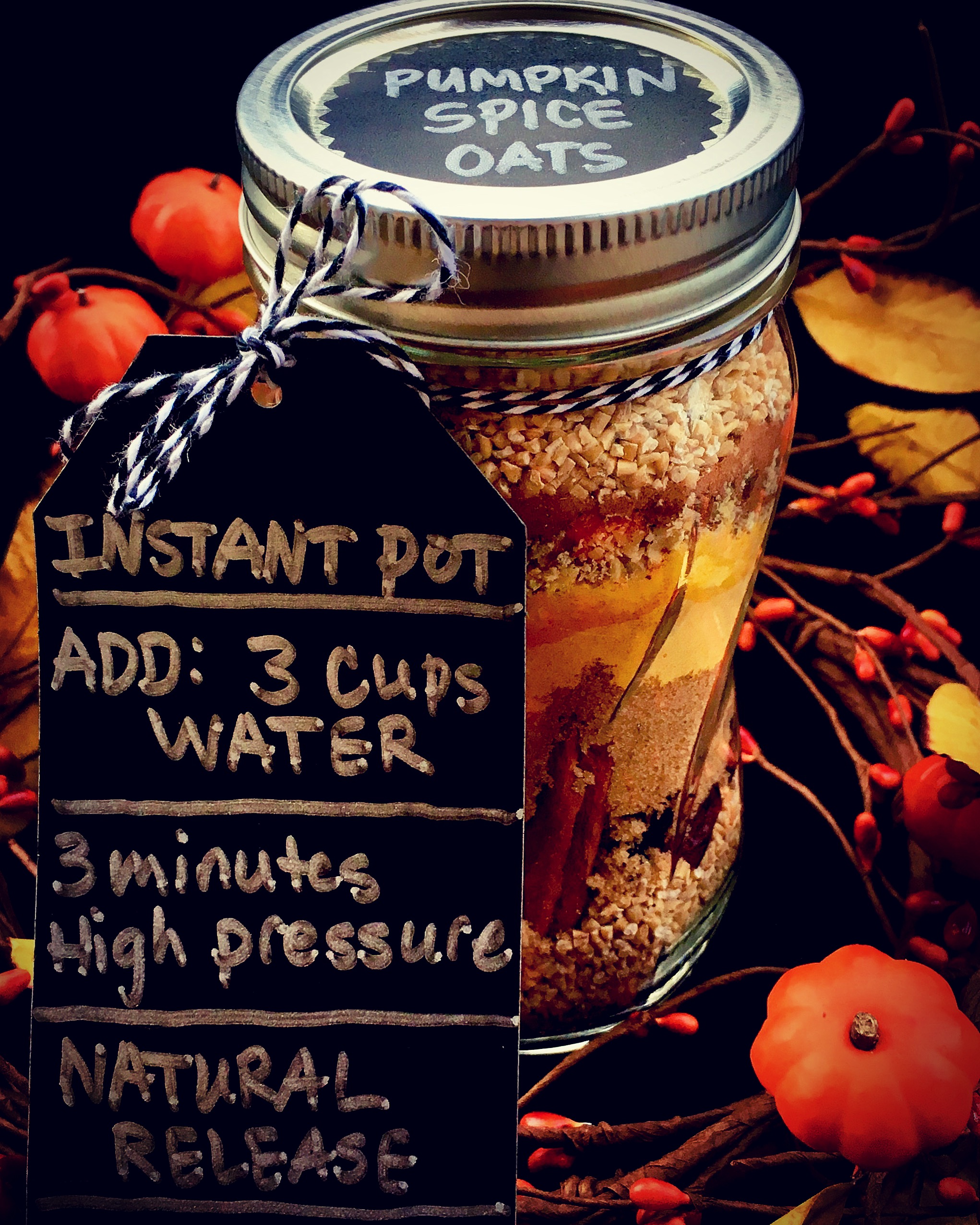 INSTANT POT Meal in a JAR- JUST ADD WATER!
